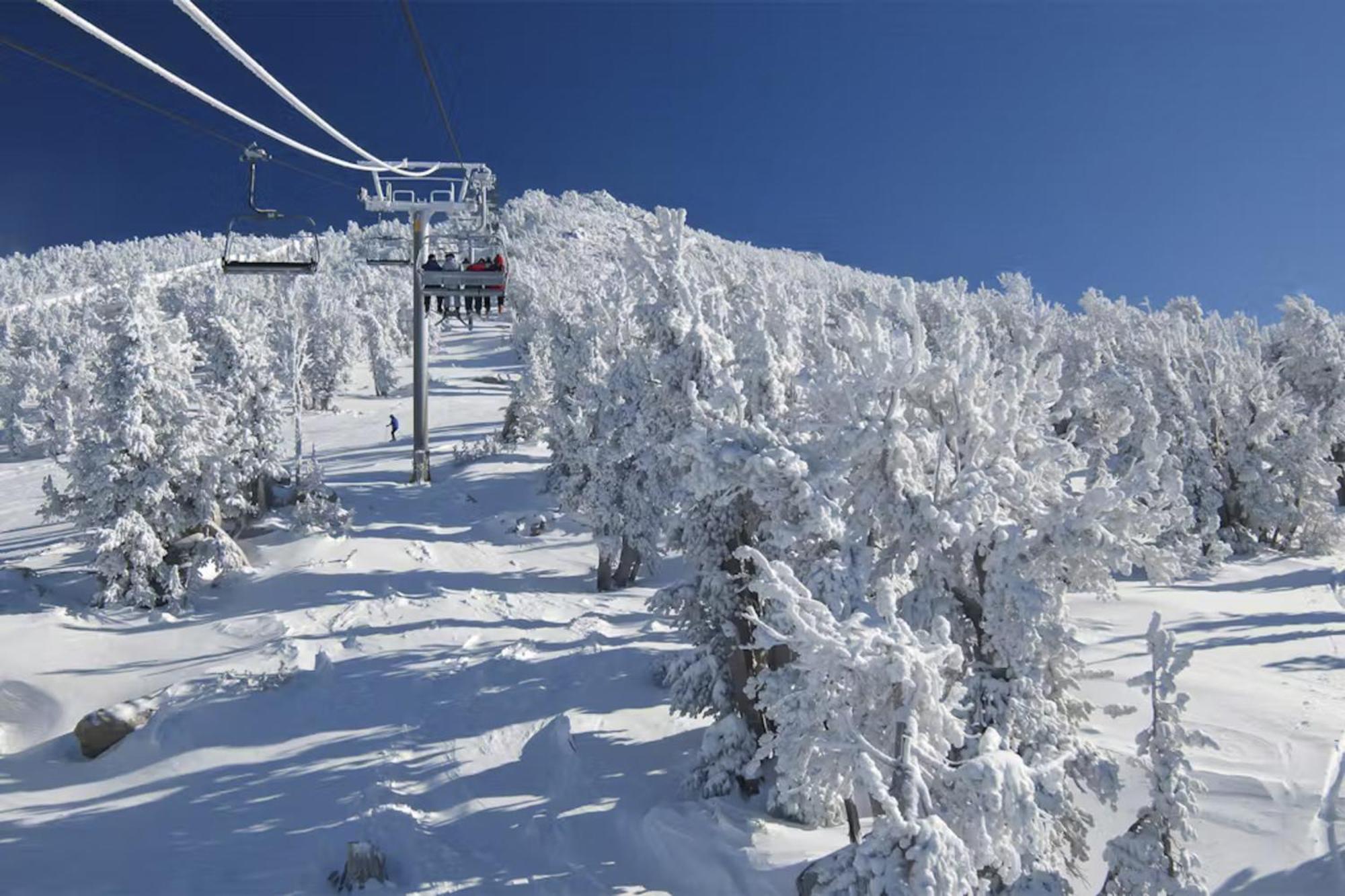 Chamonix 85 *