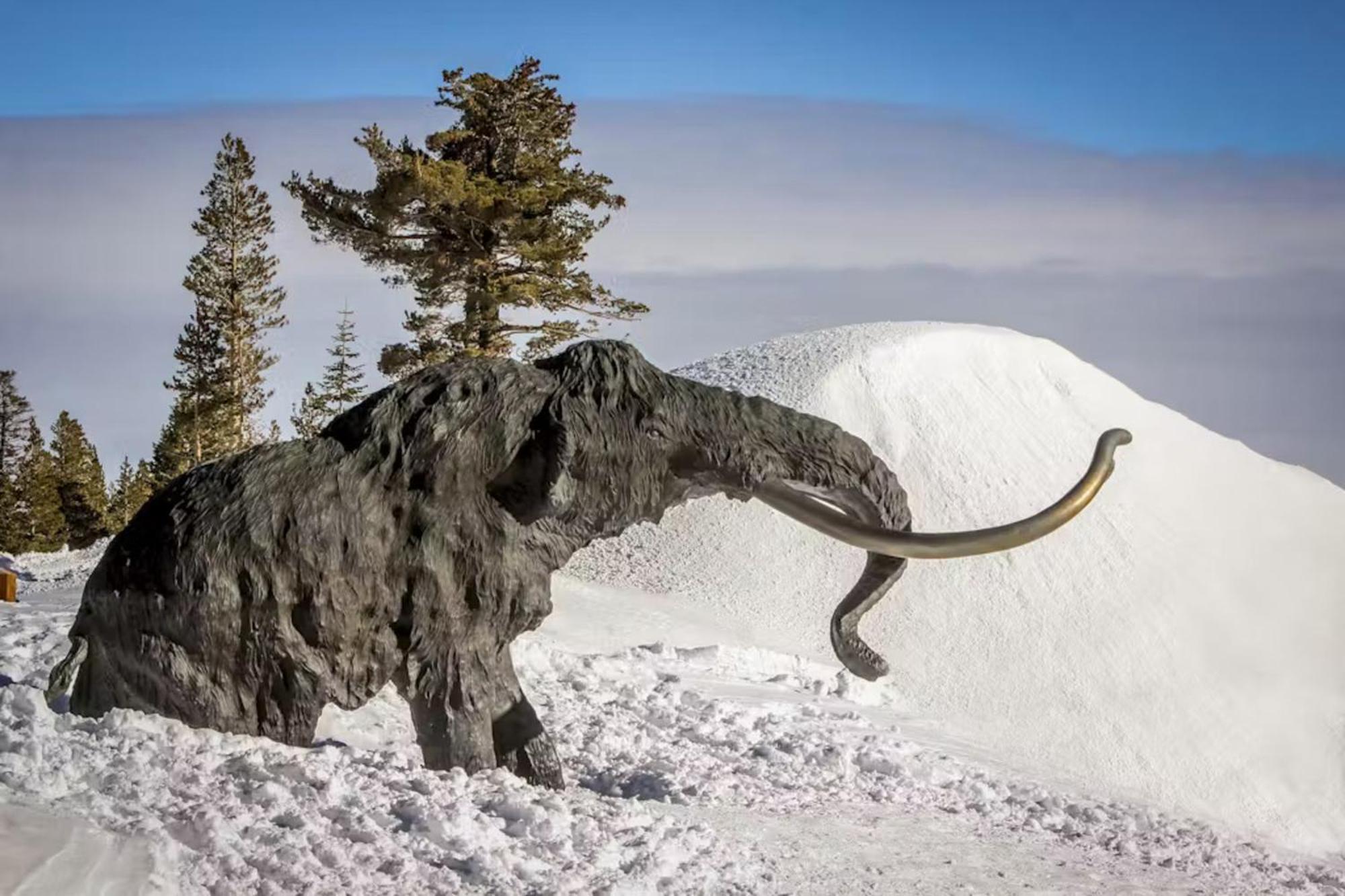 Chamonix 85 Mammoth Lakes